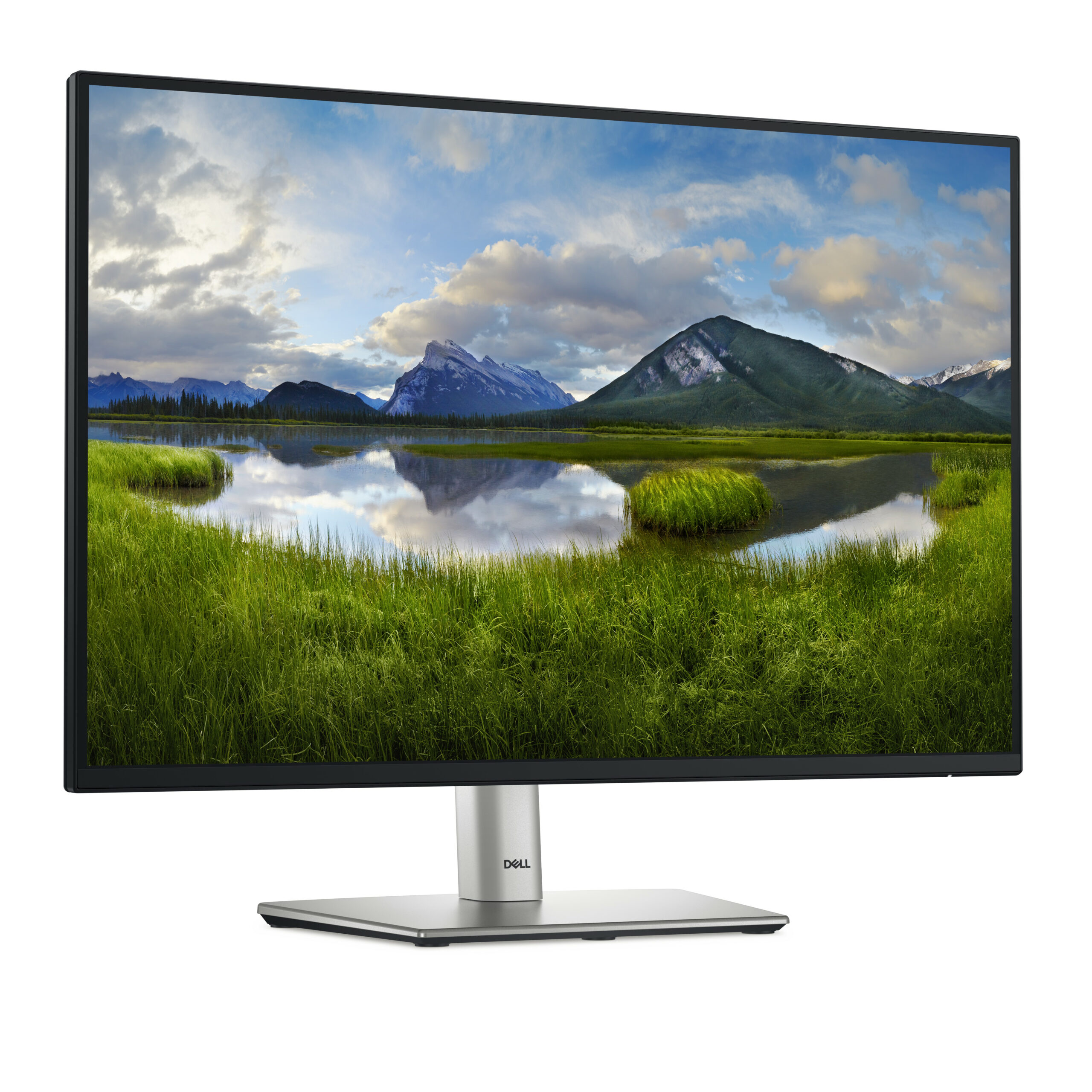 DELL Pro Plus P2425 computer monitor 61,1 cm (24.1") 1920 x 1200 Pixels WUXGA LCD Zwart - Afbeelding 4