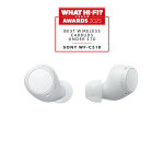 Sony WF-C510 Headset True Wireless Stereo (TWS) In-ear Gesprekken/Muziek/Sport/Elke dag Bluetooth Wit