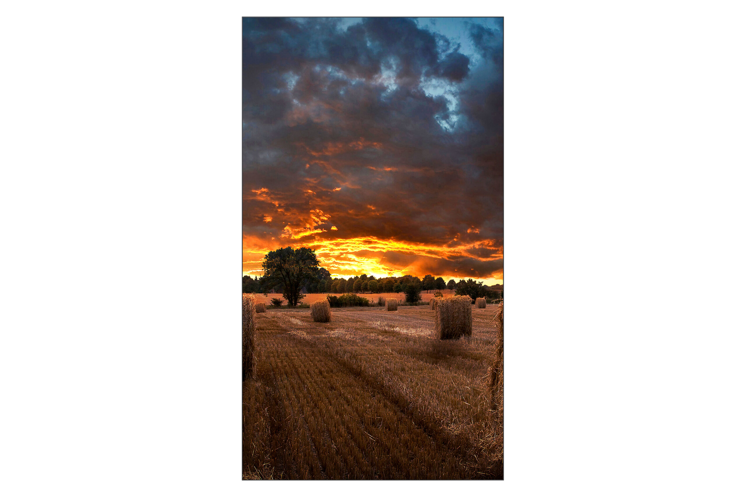 Samsung 55" Video Wall VMB-U 3.5mm BtB - Afbeelding 3