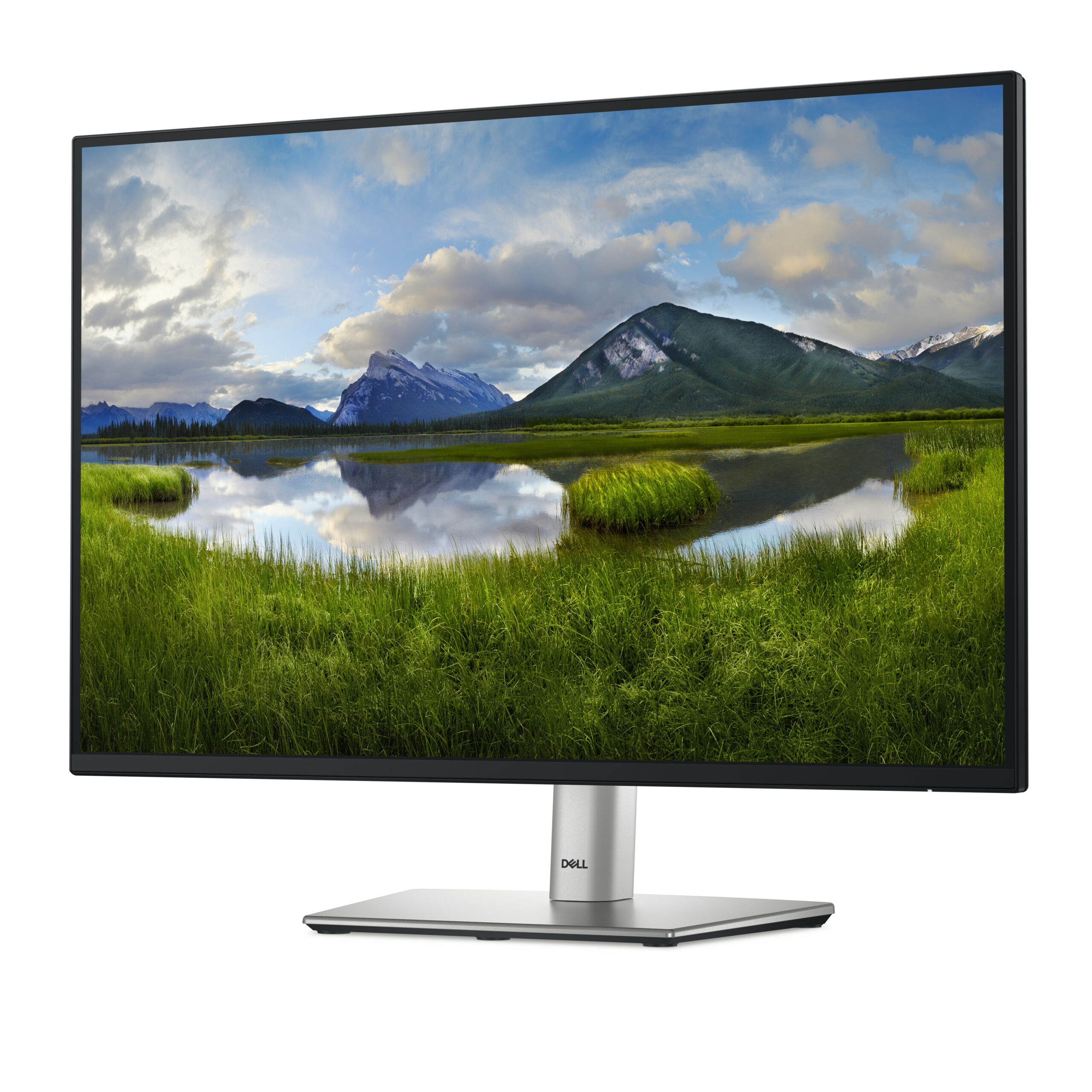 DELL Pro Plus P2425 computer monitor 61,1 cm (24.1") 1920 x 1200 Pixels WUXGA LCD Zwart - Afbeelding 3