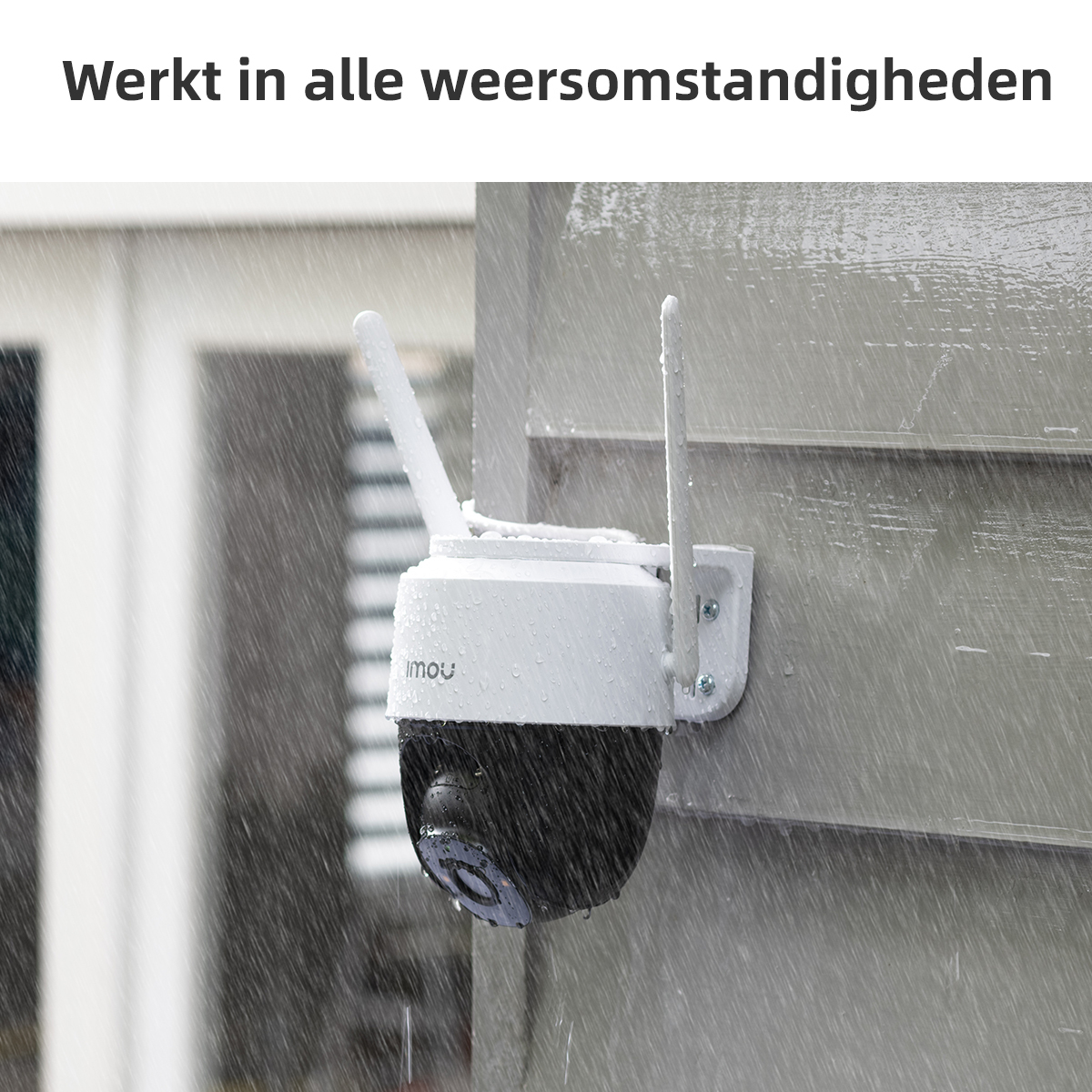 Imou Cruiser - Afbeelding 5