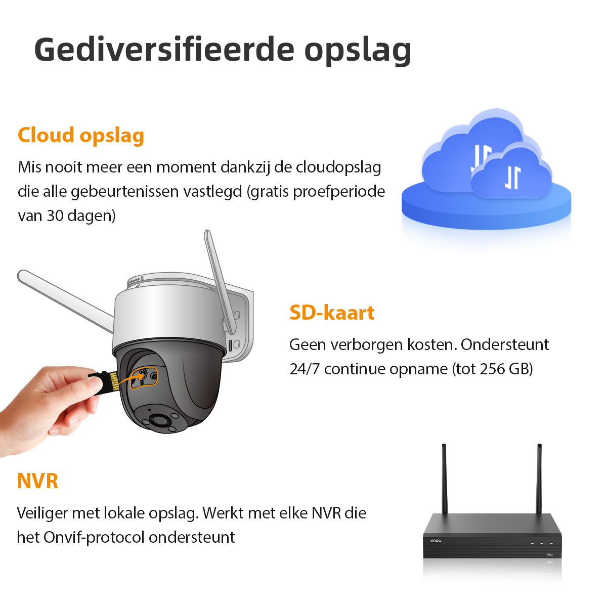 Imou Cruiser - Afbeelding 6