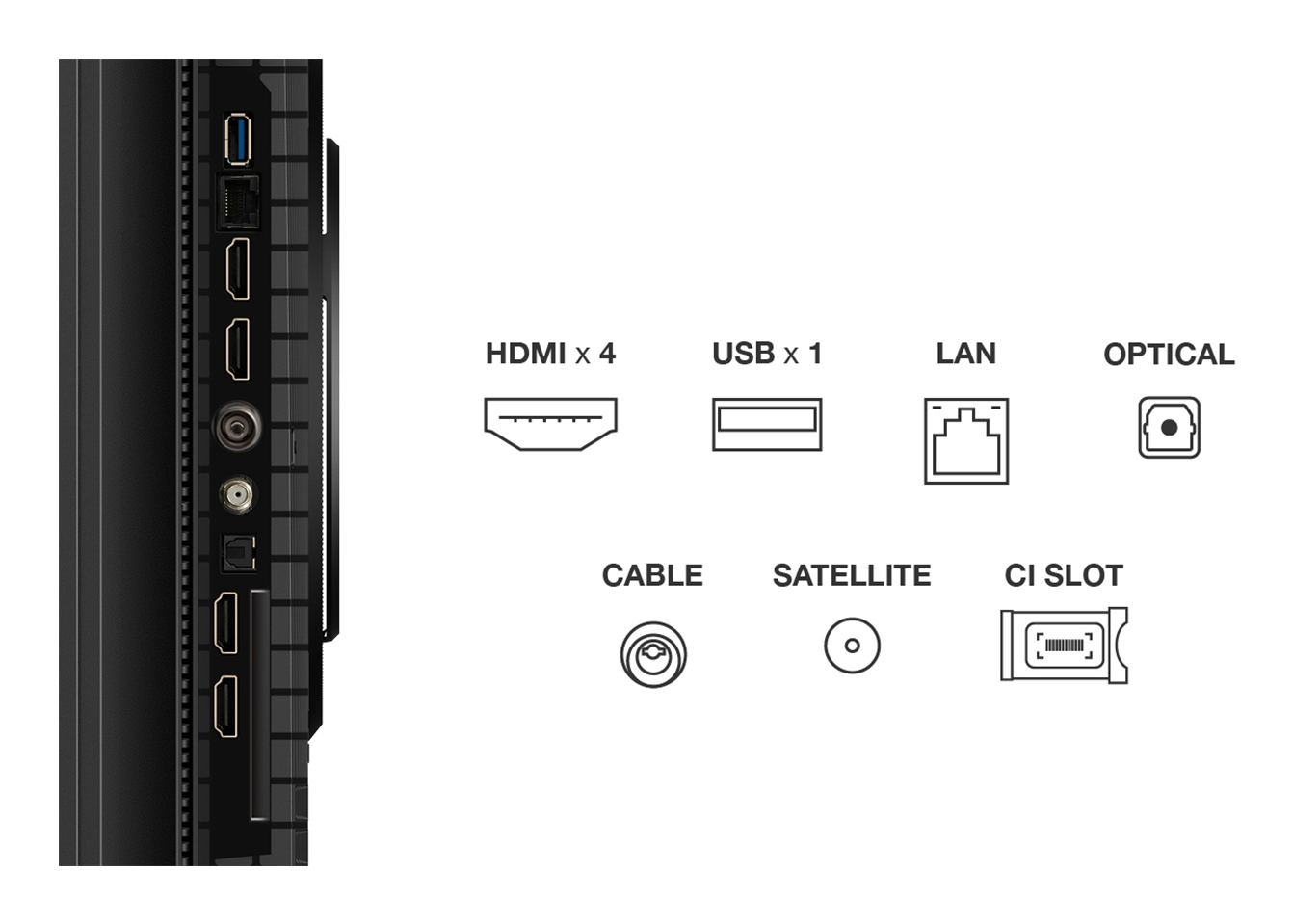 TCL 75P8K 75" | Ultra HD 4K QLED Smart TV (2025) | Google TV + Wifi | Dolby Vision & HDR10 | Quantum Dot Technologie | 120Hz - Afbeelding 6