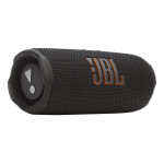 JBL Flip 7 Zwart
