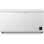 Gorenje FH50EAW Diepvrieskist Vrijstaand 500 l E Wit