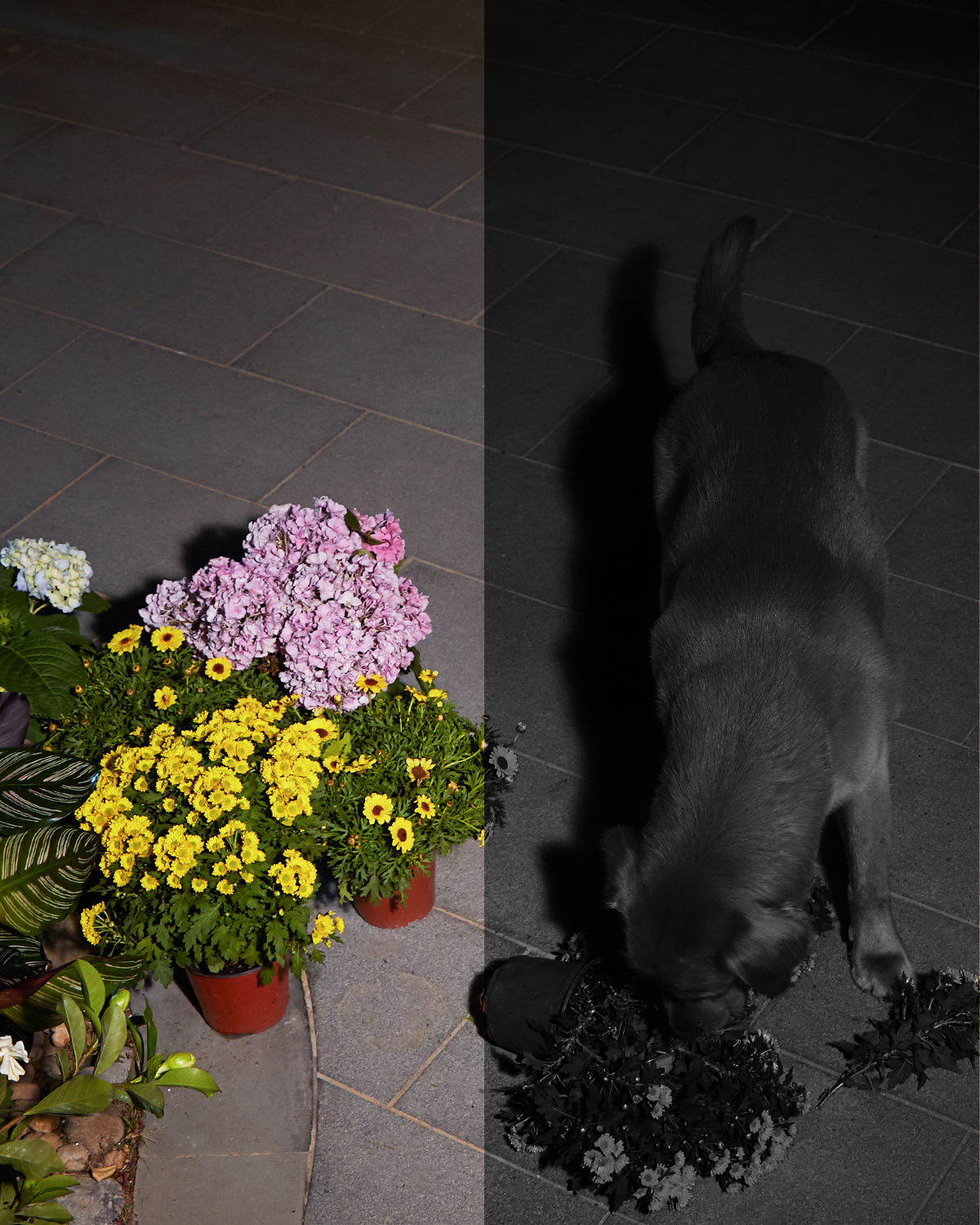 Eufy Solocam S40 Doos IP-beveiligingscamera Binnen & buiten 2048 x 1080 Pixels Muur - Afbeelding 10