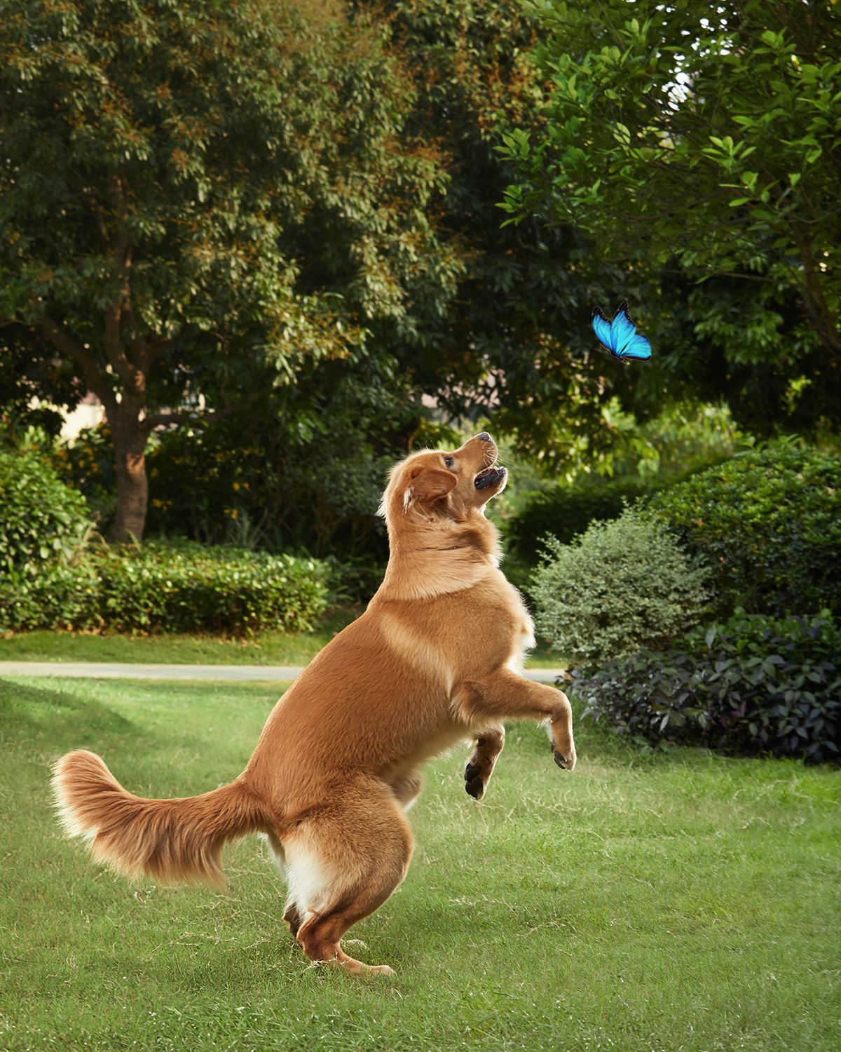 Eufy Solocam S40 Doos IP-beveiligingscamera Binnen & buiten 2048 x 1080 Pixels Muur - Afbeelding 8