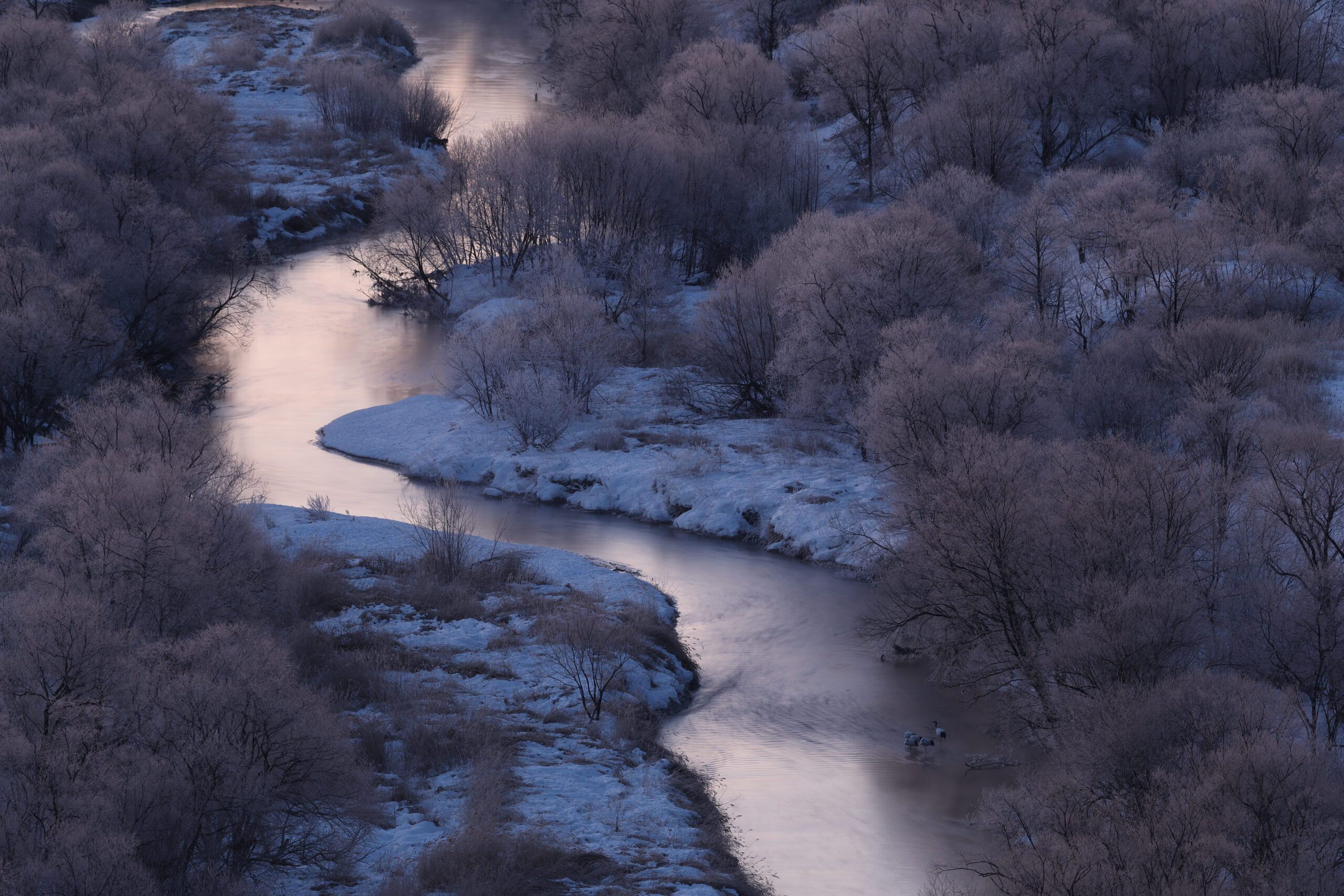 Canon EOS R7 + RF-S 18-150mm IS STM MILC 32,5 MP CMOS 6960 x 4640 Pixels Zwart - Afbeelding 9