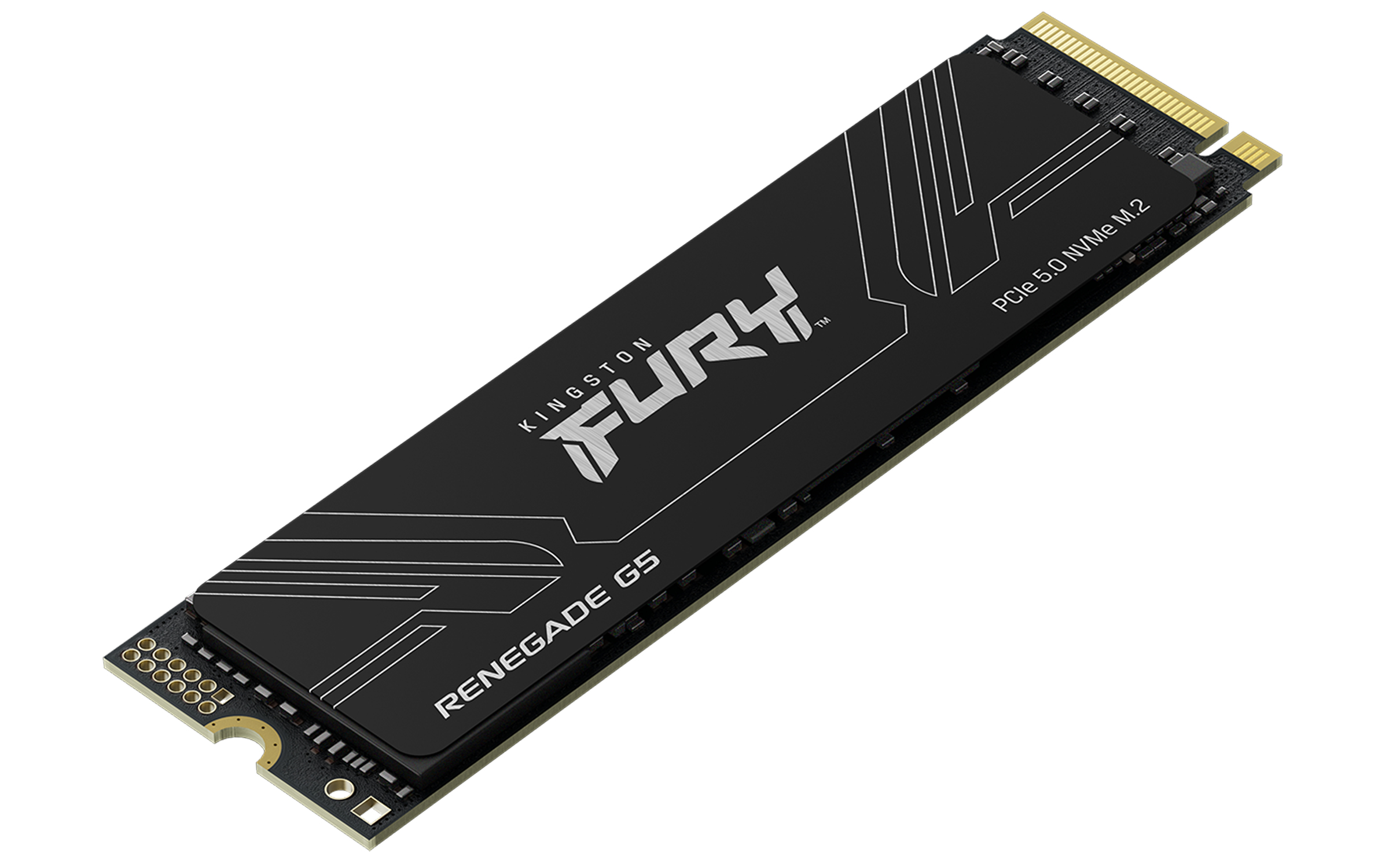 Kingston Technology 1T FURY RENEGADE G5 M.2 2280 NVMe SSD - Afbeelding 3