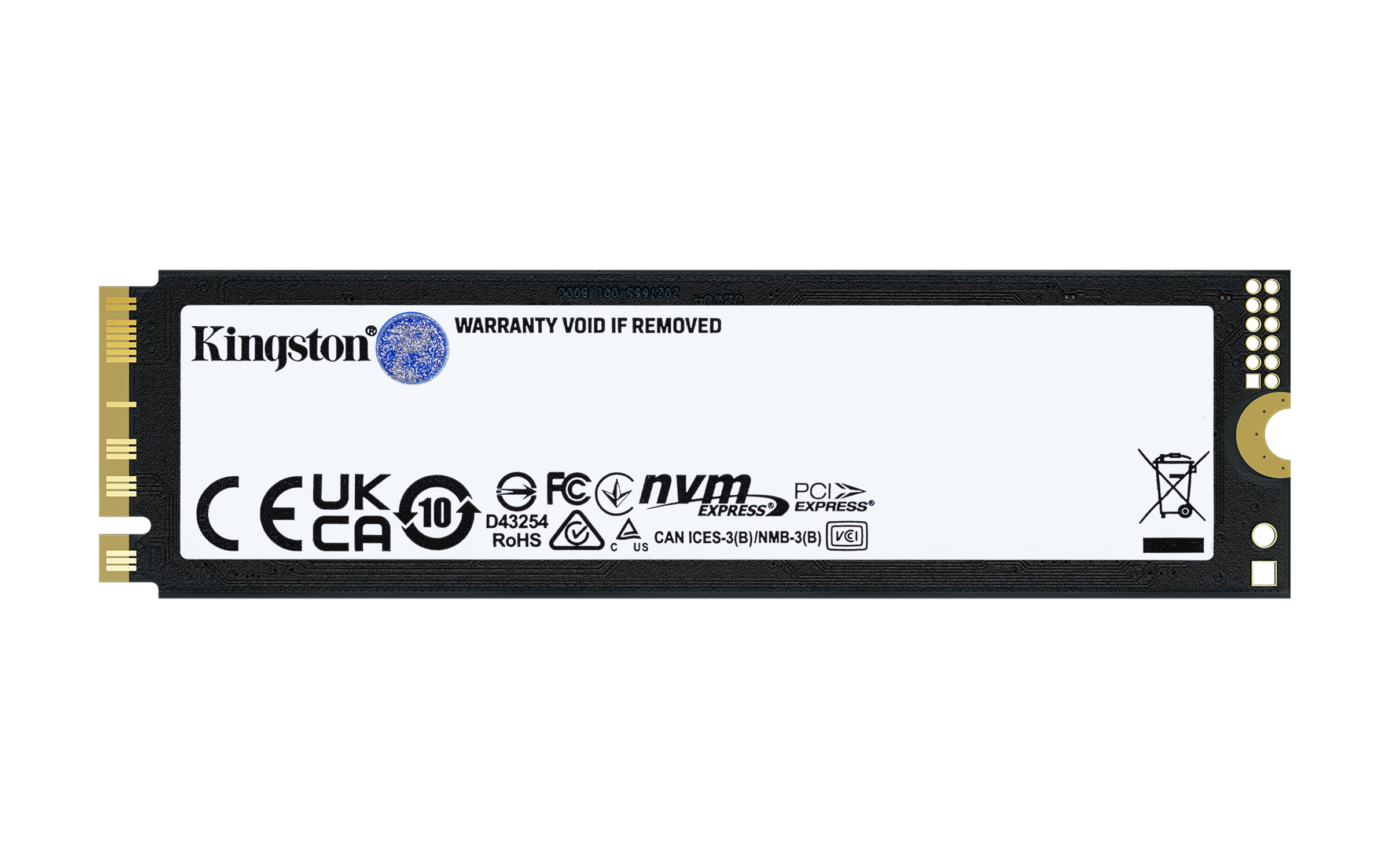 Kingston Technology 1T FURY RENEGADE G5 M.2 2280 NVMe SSD - Afbeelding 2